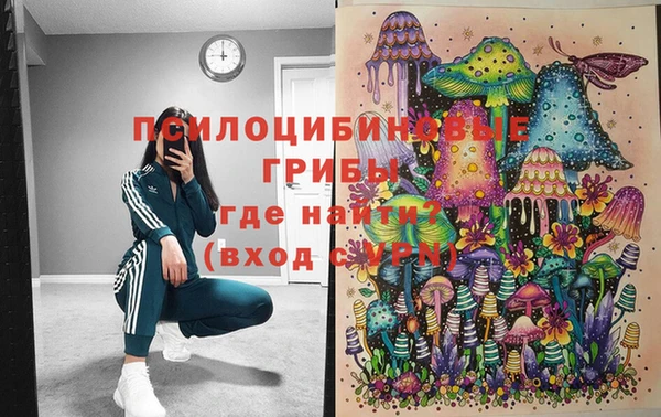 винт Белокуриха