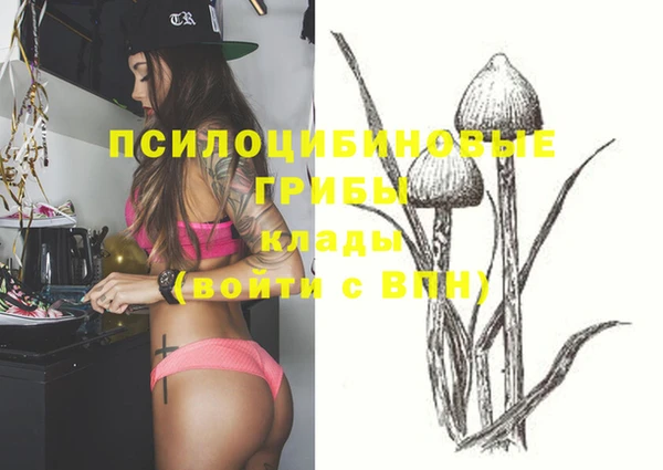 винт Белокуриха