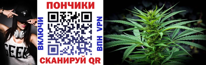 Бошки марихуана SATIVA & INDICA  где купить   Красавино 